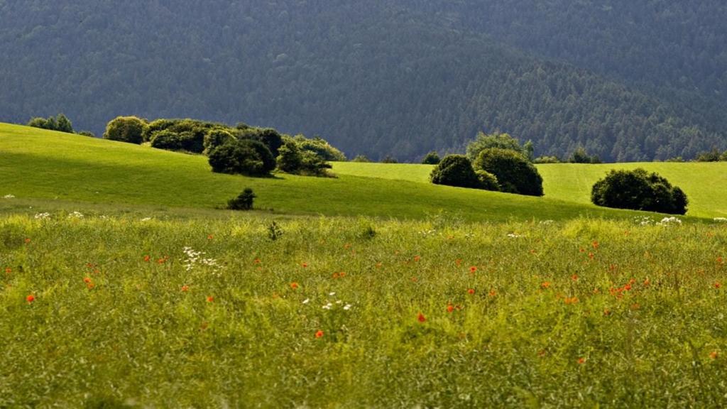 Penzion Mlynarov Dvor Dubrava Luaran gambar